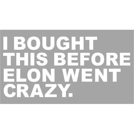 Autocollant pour voiture, « I Bought This Before Elon Went Crazy » pour fenêtres ou vernis, pare-chocs, en vinyle, durable et résistant aux intempéries, motif de regret (Blanc) (1/4)