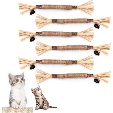 Lot de 6 bâtonnets d'herbe à chat - Bâtons à mâcher pour chat - Pour le soin des dents et contre la mauvaise haleine (1/4)