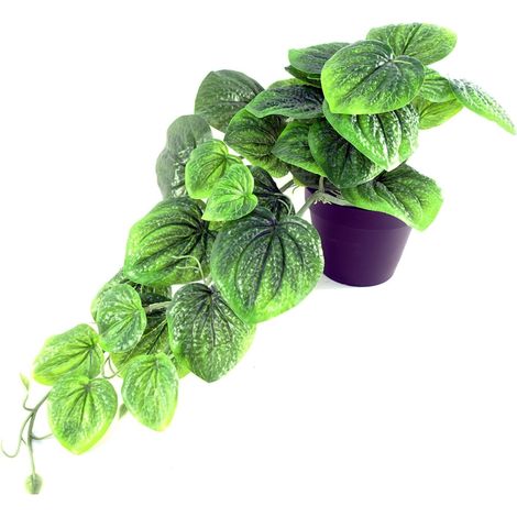 35cm Artificial Trailing Green Potted Pothos Plant (1/5)