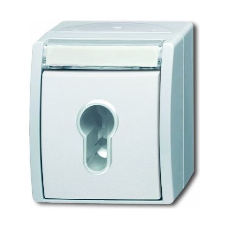 Interruttore busch-jaeger 2733 SLW-54 250 V IP 44