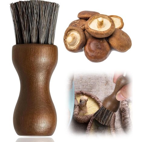 Brosse à Champignons et légumes, Couteau avec Pinceau, Champignons, Pommes de Terre, Cuisine pour (girolles), Poils naturels, résistant la Chaleur, (1/5)