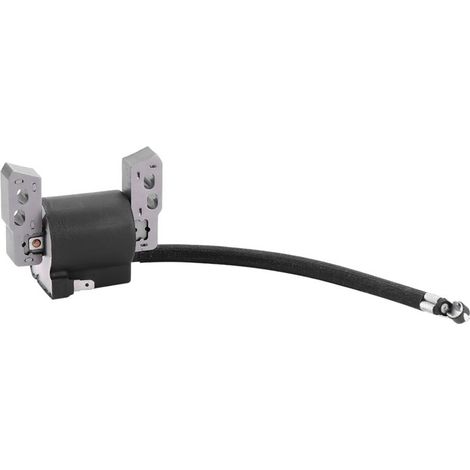 Pièces détachées pour tondeuse à gazon Bobine d'allumage Compatible avec Briggs & Stratton Armature Magneto 695711 802574 796964 (1/5)