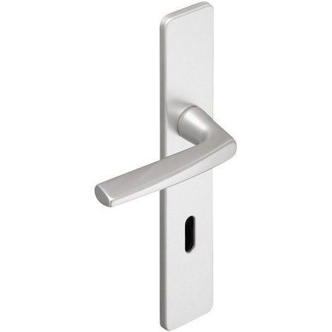 Juego de puerta Riviera BEZAULT Distancia central 195 mm Plata - Llave i - 0072775