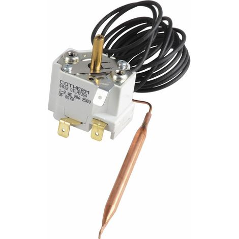 Chappee – Thermostat TXA4C018 30/90°C – Régulation précise de température – Pour chauffe-eau – Installation par professionnel recommandée - S17007004