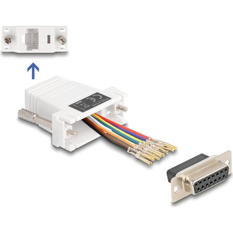 Delock D-Sub hembra de 15 pines a RJ45 hembra, kit de montaje blanco