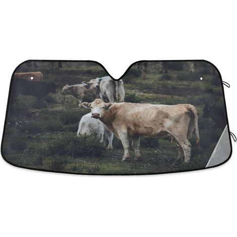 Voiture Avant Pare-Brise Pare-soleils pour Ford Puma, Portable