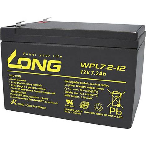 Long WPL7.2-12 Batteria ricaricabile 12 V 7,2 Ah