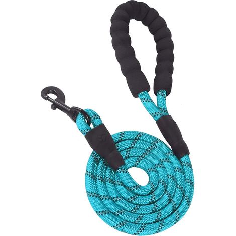 Laisse nylon robuste pour chien avec poignée confortable et fil réfléchissant pour petit moyen grand chien (1/5)