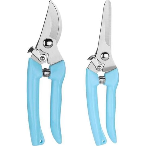 2Pcs ciseaux à fleurs en acier inoxydable avec verrouillage (Bleu) (1/5)