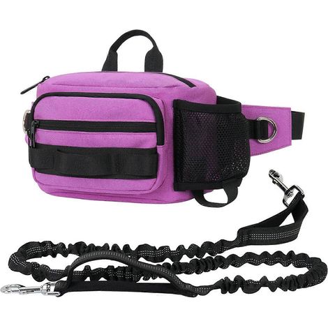 Laisse mains libres pour chien avec cordon élastique rétractable et sac banane pour le dressage et les promenades.