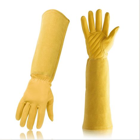 Gants De Jardinage Longs - Protection Jusqu'au Coude - Résistants Aux Épines - Pour Taille De Rosiers Et Plantes Épineuses - Taille Unique (1/4)