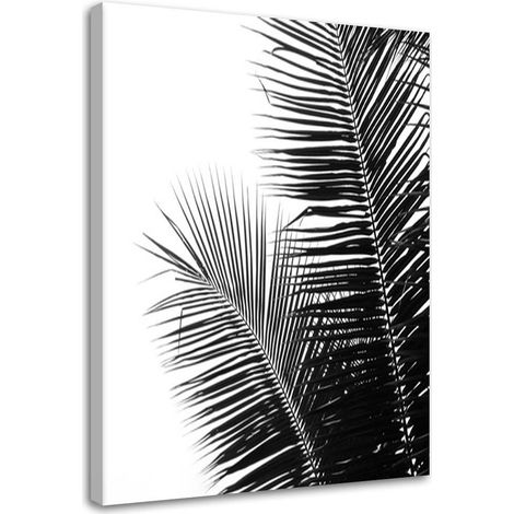 Tableau sur toile Feuille de palmier Noir Blanc 40x60 (1/5)