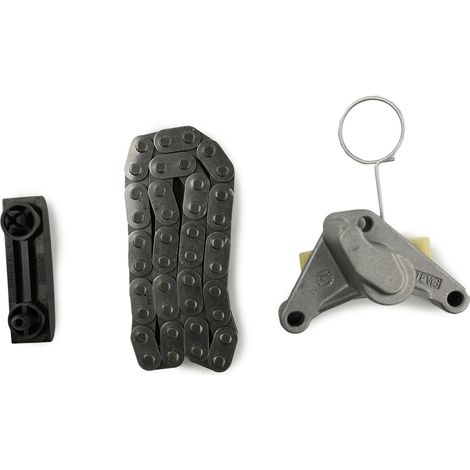 OR 9400849239 Fiat Steuerkette (1/2)