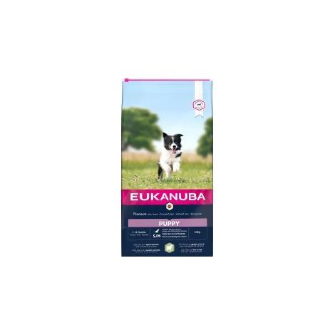 Eukanuba Puppy & Junior Small/Medium Lamb & Rice WITH A HINT - 729794
