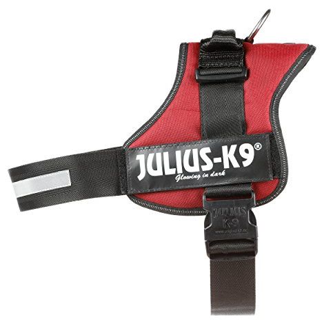 Pettorina Julius K9 Powerharness (DE) - Bordeaux - Accessori (1/4)