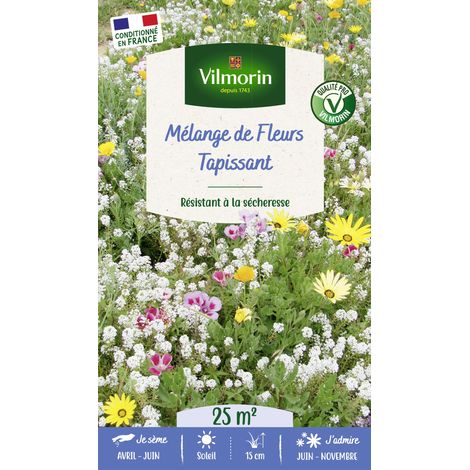 Mélange Tapissant - 25 m² - Mélange de fleurs Vilmorin (1/3)