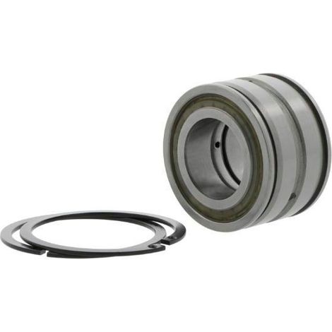 INA Zylinderrollenlager SL045038 -D-PP-2NR Innen-Ø 190 mm Außen-Ø 290 mmBreite136 mm