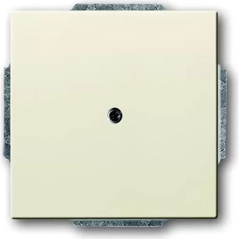 Zentralplatte Busch-Jaeger 1742-82 thermoplastisch glänzend (1/2)