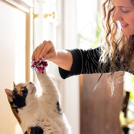 balles froissées chat - Jouet d'intérieur chat - Jouet chat - 6 cm - (1/4)