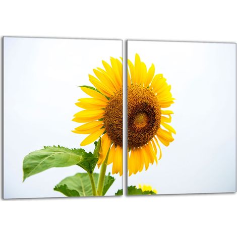 Placa protectora de vidrio para estufa 2x40x52 Flor (1/5)