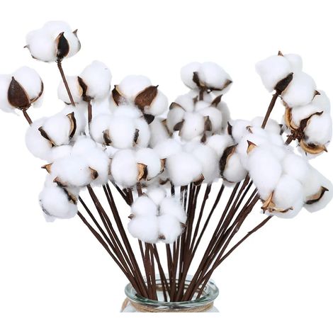 Lot de 30 Fleurs en coton, tiges flexibles, décorations champêtres, plantes séchées blanches, pour maison, mariage, fête (1/5)
