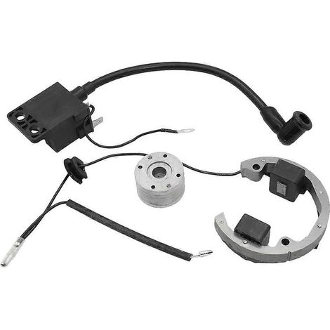 Bobina de iluminación y rotor interno para moto KTM SX 50 50 cm³ (2001-2013), sistema de iluminación con estator, moto todo terreno y motocross. (1/5)
