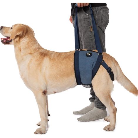 Harnais de Soutien pour Chien Âgé ou Blessé - Aide à la Marche et Rééducation Arrière