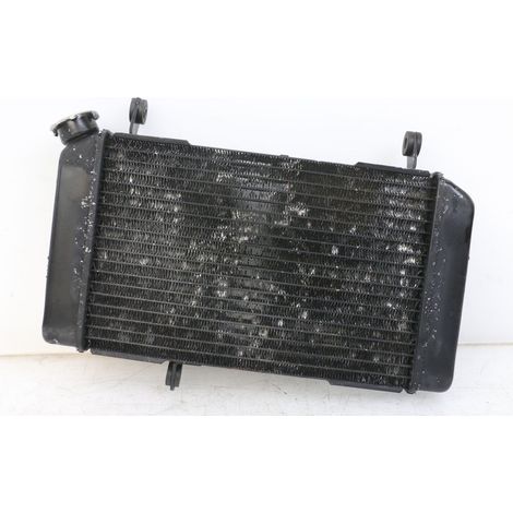 [PRODUIT D'OCCASION] RADIATEUR SUZUKI SV N 650 1999 - 2002 (1/5)