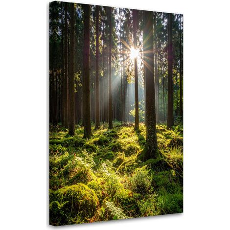 Quadro su tela, Bosco alberi alba, 60x90 (1/5)