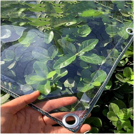 Bâche Transparente PVC avec Oeillets, 2.4x4m (1/5)