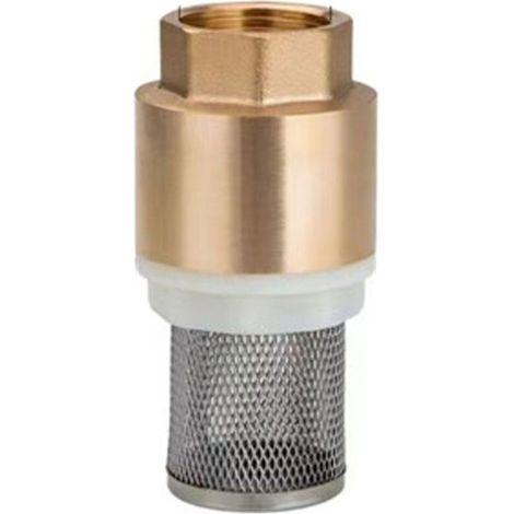 Clapet anti-retour en laiton 33,7 mm (1) DN25 avec corps en acier inoxydable