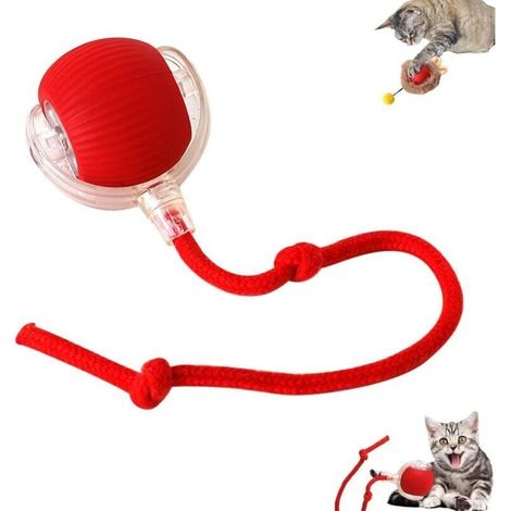 Interaktiver Katzenball – Elektrisches Katzenspielzeug – USB-aufladbar – 3 Spielmodi – 360°-Drehung – Für Katzen und Hunde – Rot