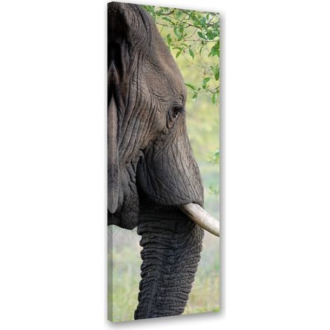 Tableau sur toile Éléphant Animal Afrique 30x90 (1/5)