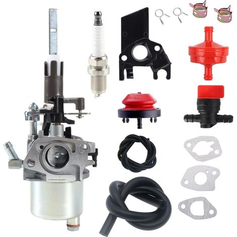 20001171 Carburateur ST224 921024 921028 921030 LCT 254cc Pièces de chasse-neige (1/5)