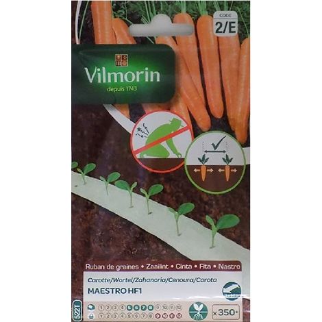 Semillas de ZANAHORIA MAESTRO HF1 (cultivo fácil)