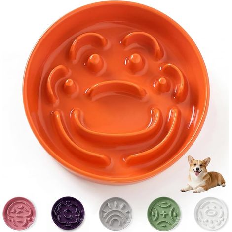 Ceramic Anti-Glutton Dog Bowl - Labyrinth Bowl for Slow Feeding - Suitable for Dry Food (1/5)