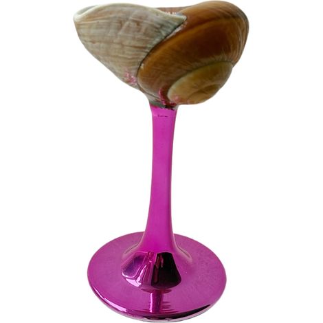 Verre à vin à pied en coquillage naturel, verre artistique en coquillage irrégulier, décoration intérieure.