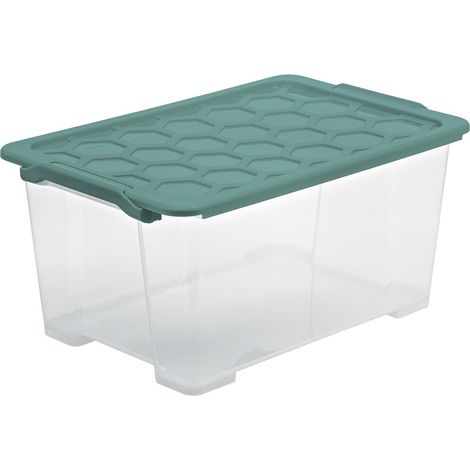 Rotho BOX44 L Evo Safe scatola di stoccaggio verde 44 litri