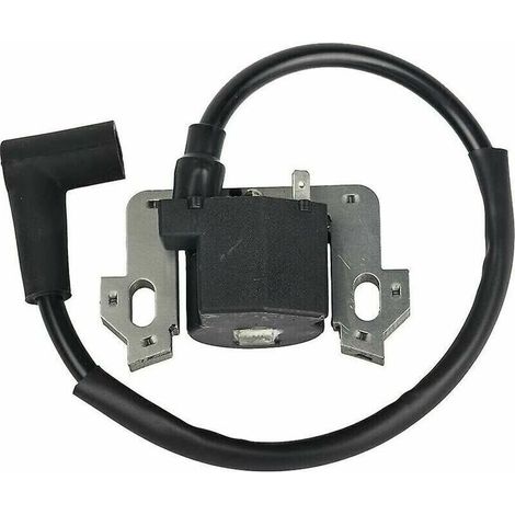 [NON UTILIZZATO] Sostituisce il modulo della bobina di accensione per i modelli Gcv135, Gcv160, Gcv190 e Gsv160.
