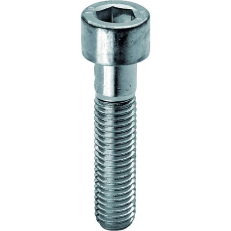 VITE TCEI mm.8x20 DIN912 UNI5931 8.8