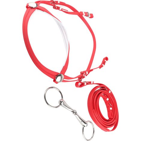 Bride réglable en PVC pour cheval, harnais, têtière, mors creux amovible en acier inoxydable (1/5)