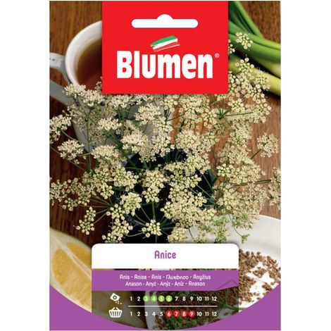 SEMI ANICE FOGLIE AROMATICHE BLUMEN