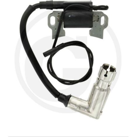 Bobine d'allumage d'origine tracteur de pelouse tondeuse 270920251-0001