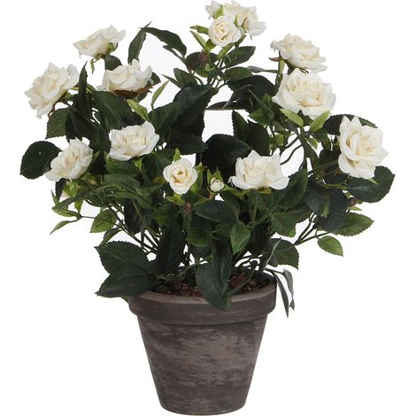 Maceta de rosal blanco, ø11,5 x 33 x 25 cm (1/2)