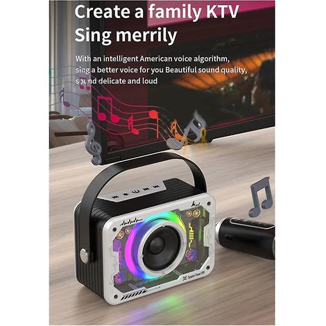 Enceinte Bluetooth pour chanter à la maison ou en extérieur, enceinte karaoké sans fil portable avec basses et microphone - Gris (1/5)