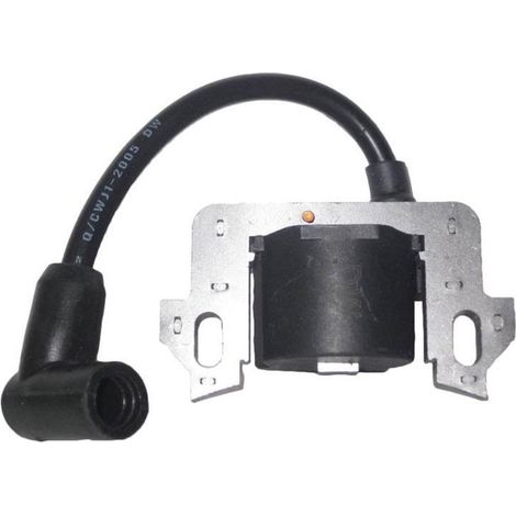 Accessori per tosaerba verticale GCV160 30500 - ZL8 - 004 30500 - ZL8 - 014 Gruppo pompa ad alta pressione