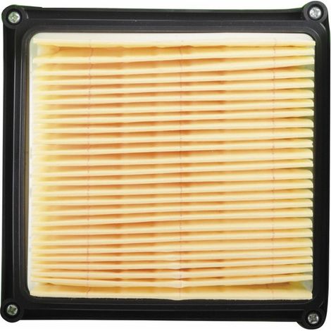 Filtro per aspiratore FOX