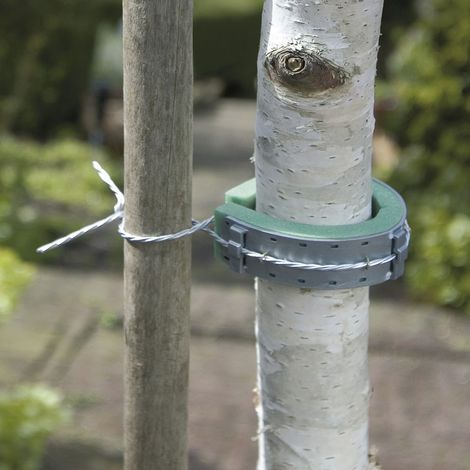 Collar de árbol NORTENE, 0,6 m NORTENE