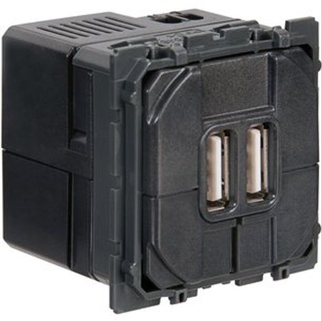 Prise double Céliane pour chargeur USB Legrand 067462