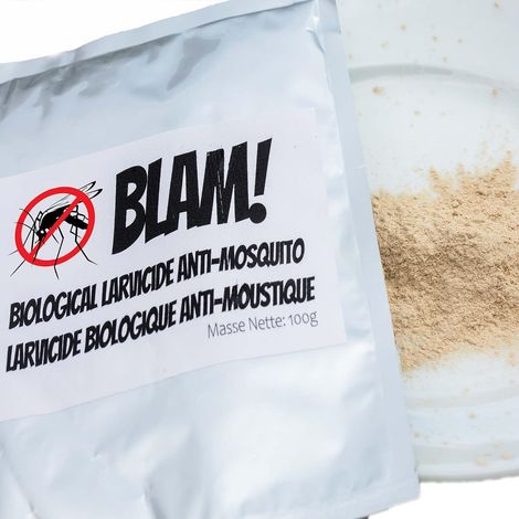 BTI WP Larvicide anti larves de moustiques pour 200m² à base de BTI. Formule larvicide concentrée. Pour Piscine/Eau Stagnante/Bassin. Bacillus Thuringiensis Israelensis (100g) (1/5)